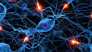 Les réseaux de neurones artificiel Les réseaux de neurones artificiel