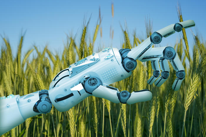 L’impact de l’intelligence artificielle sur le secteur de l’agriculture au Maroc L’impact de l’intelligence artificielle sur le secteur de l’agriculture au Maroc